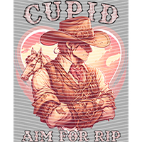 Country music-CM-317